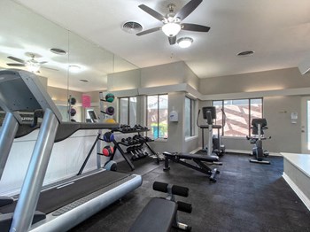 fitness center at Timber Ridge Apartments - Photo Gallery 6