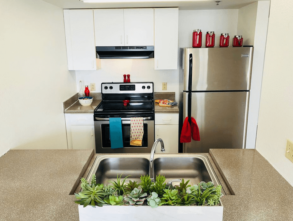 open apartment kitchen 