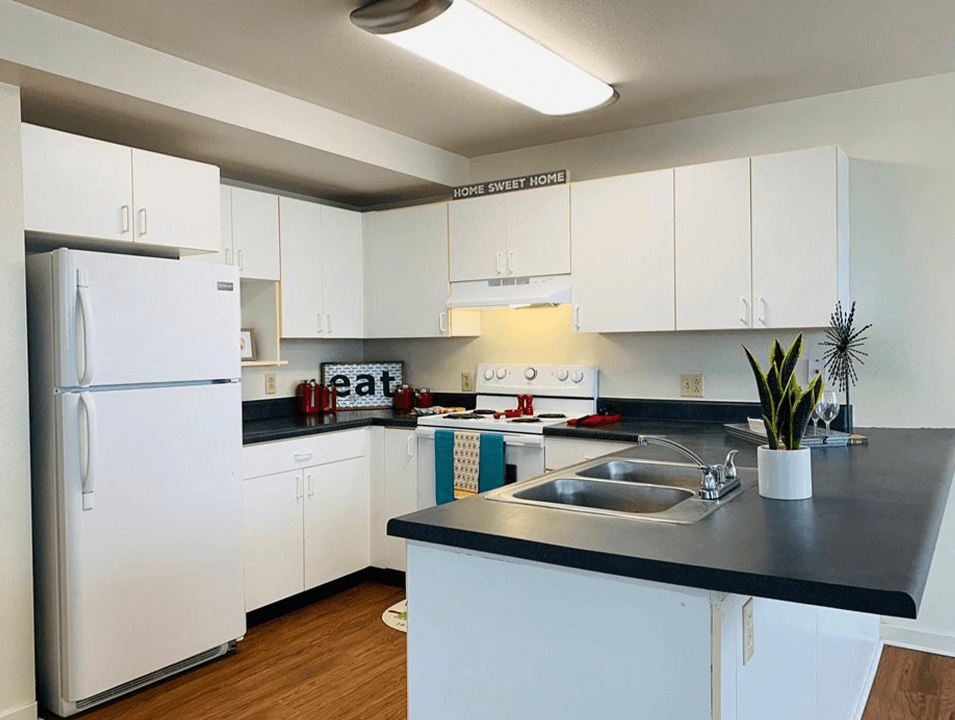 apartment kitchen with appliances