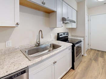 Modern Kitchen at Apartment - Photo Gallery 2