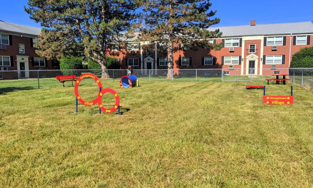 pet-friendly apartment with dog park