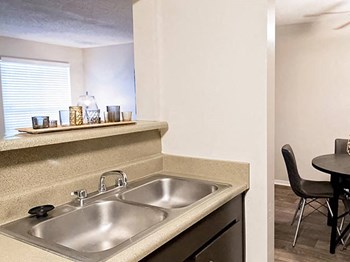 double basin sink in Lafayette LA apts - Photo Gallery 4