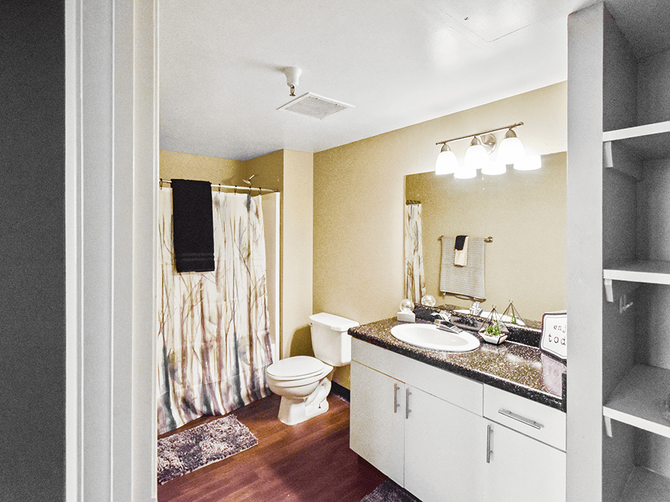 clean apartment bathroom