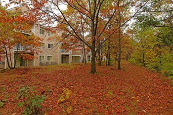 Emerald Creek Wooded Views northern Michigan apartment - Photo Gallery 3
