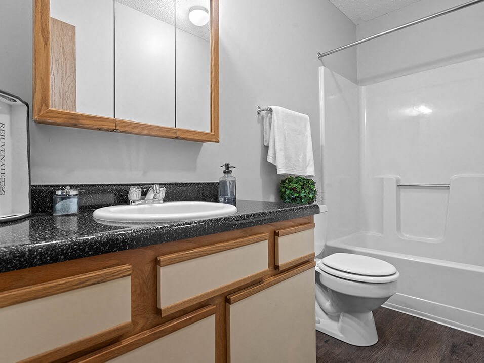 a bathroom with a sink and a toilet