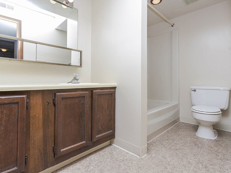 Bathroom area with large mirror and undersink storage