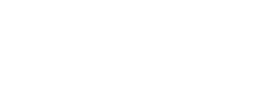 Castle Pointe logo