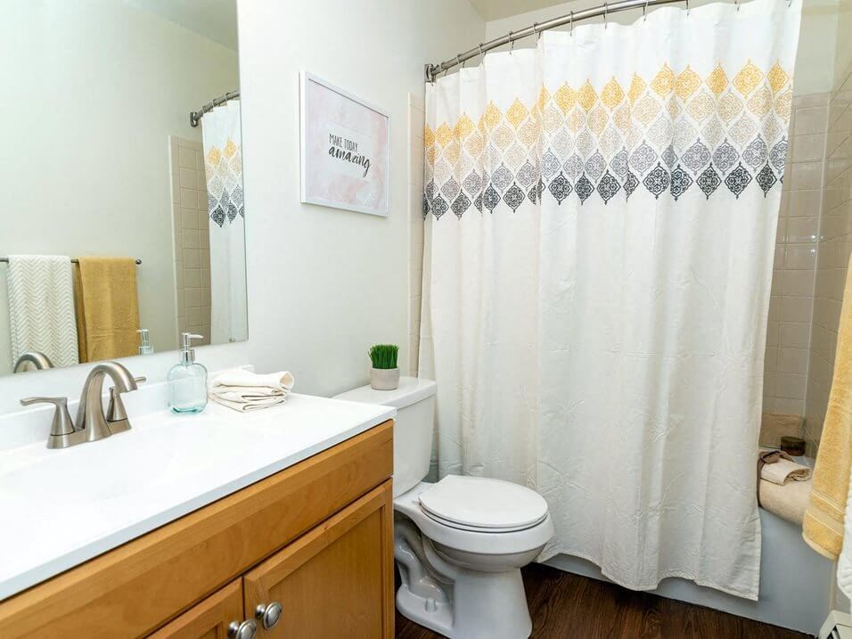 large bathrooms at Forest pointe apartments
