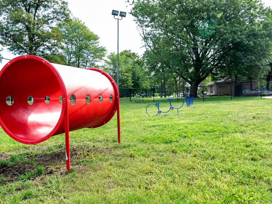 dog park at Grand Rapids apartments