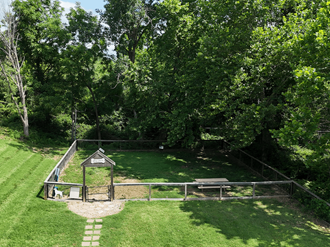 A grassy enclosed dog park shaded by mature trees.