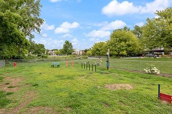 Bark Park