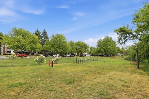 A park with a playground and trees.