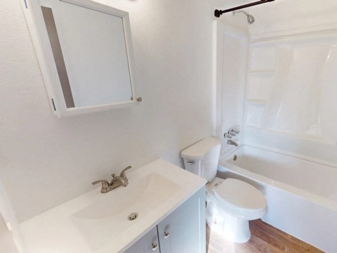 a bathroom with a sink and a toilet
