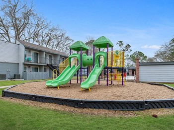 playground at Chestnut Ridge apartments - Photo Gallery 5