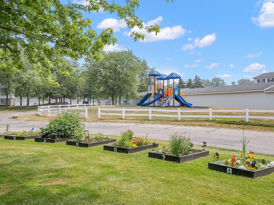 a playground in the background with a bunch of flowers in the foreground