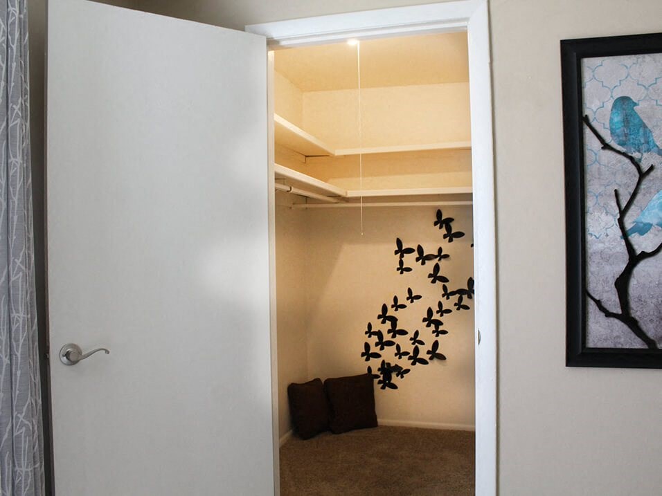 bedroom with walk in closet