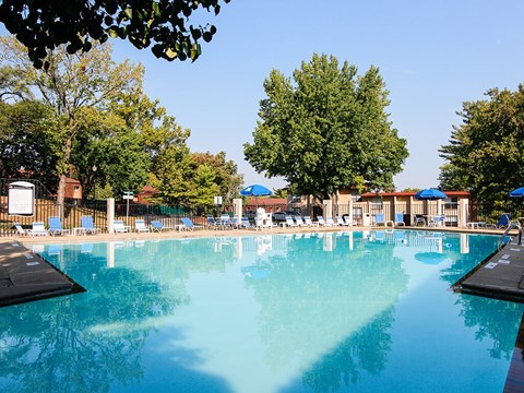 A large swimming pool surrounded by trees and lounge chairs.