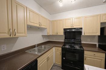 A kitchen with a black stove top oven and a white dishwasher.
