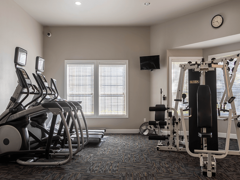 cardio equipment at The Dominion Apartments