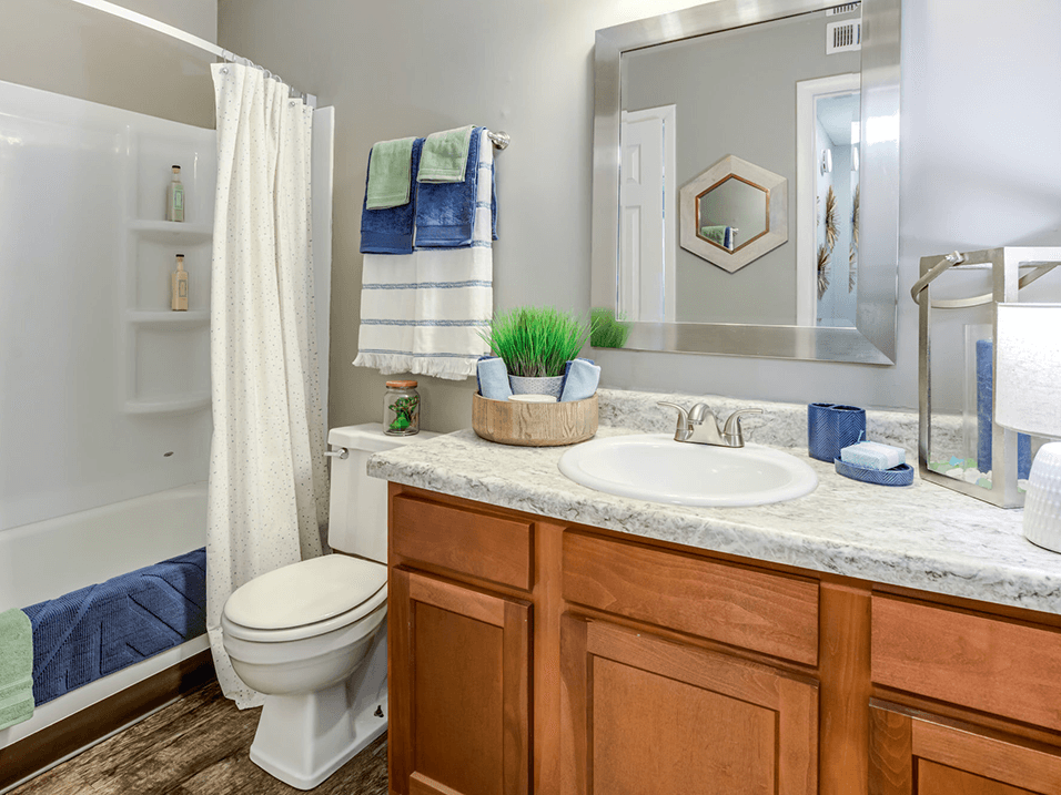 apartment with modern bathroom