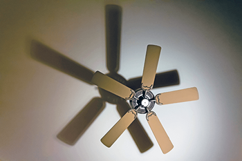 Ceiling Fan