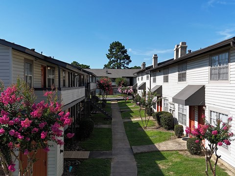 A row of houses with pink flowers in front.