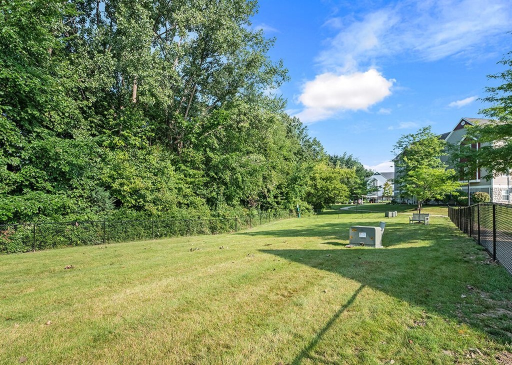 a yard with a fence and grass and trees for dogs