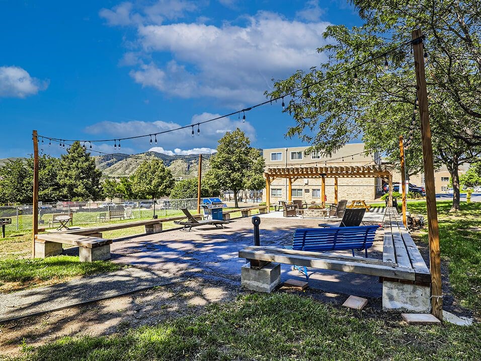 a picnic area with benches and a canopy