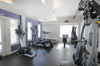 A gym with a purple wall and a row of treadmills.