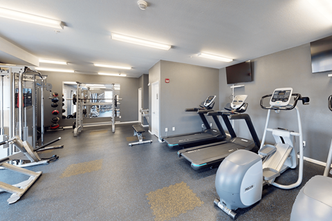 A gym with a variety of equipment including treadmills, weights, and exercise machines.