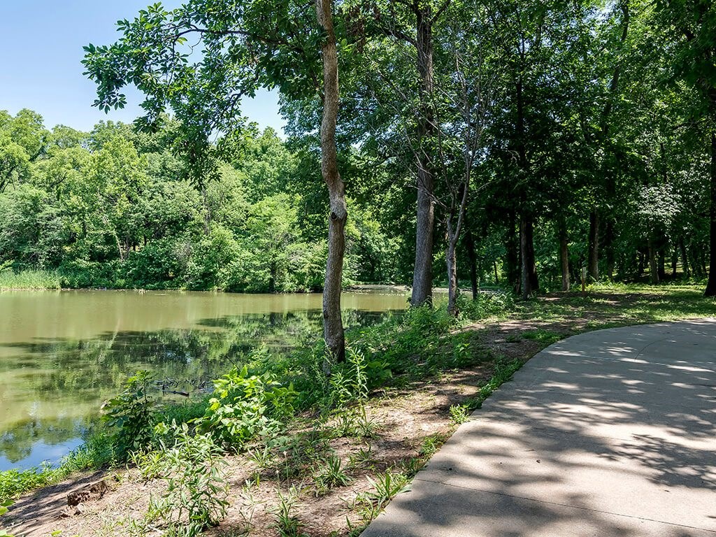 a path next to a pond