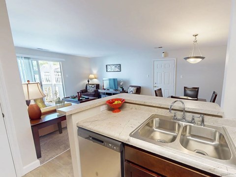 A kitchen with a dishwasher and a double sink.