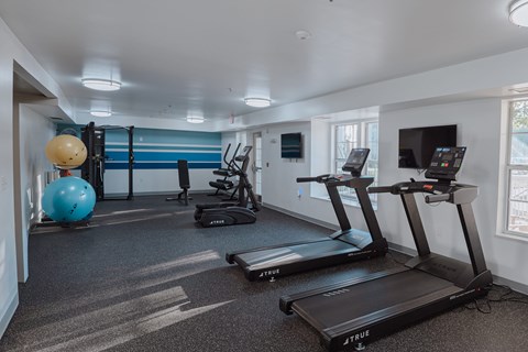 A gym with treadmills, exercise balls, and other equipment.