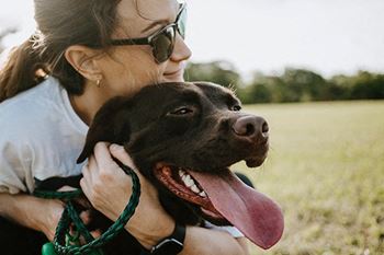 dog park available at the villages at general grant apartments in affton, mo