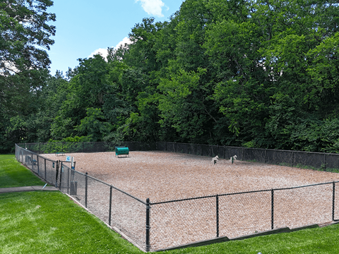 A dog park agility course surrounded by a fence and trees.