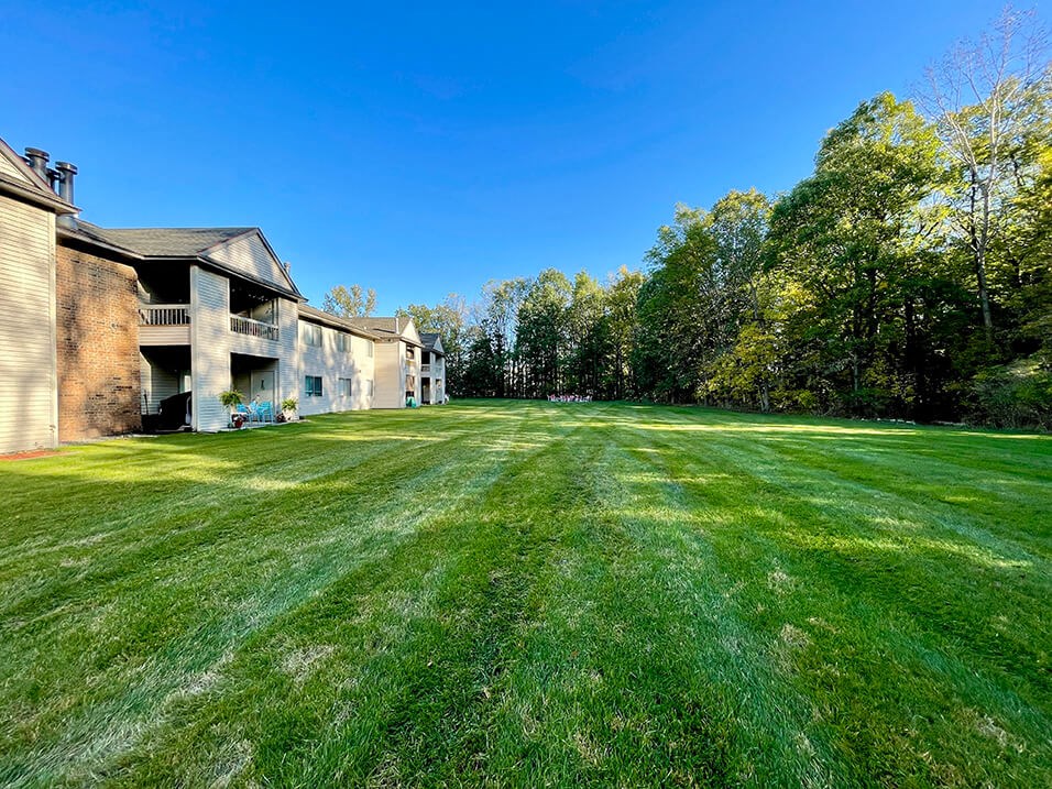 Open green area with woods by huntington glen apartments