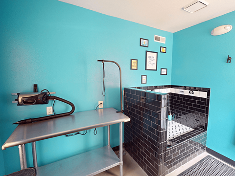 A blue tiled dog wash station.