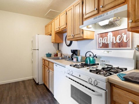 a kitchen with a stove and a refrigerator