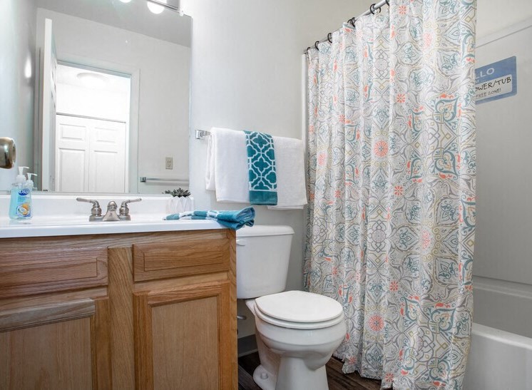 Apartments in South Bend Indiana Bathroom