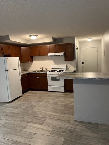 Apartment in Brooklyn Park with upgraded kitchen and flooring - Photo Gallery 3