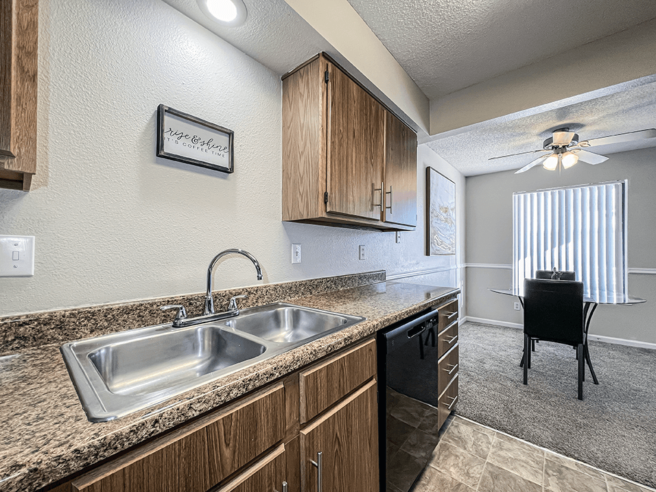Double Bowl Sink in kitchen