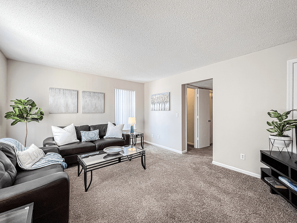 spacious apartment living room