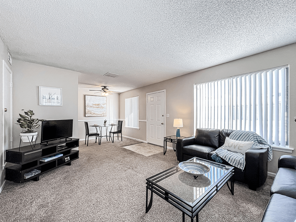 Living Room with Natural Light