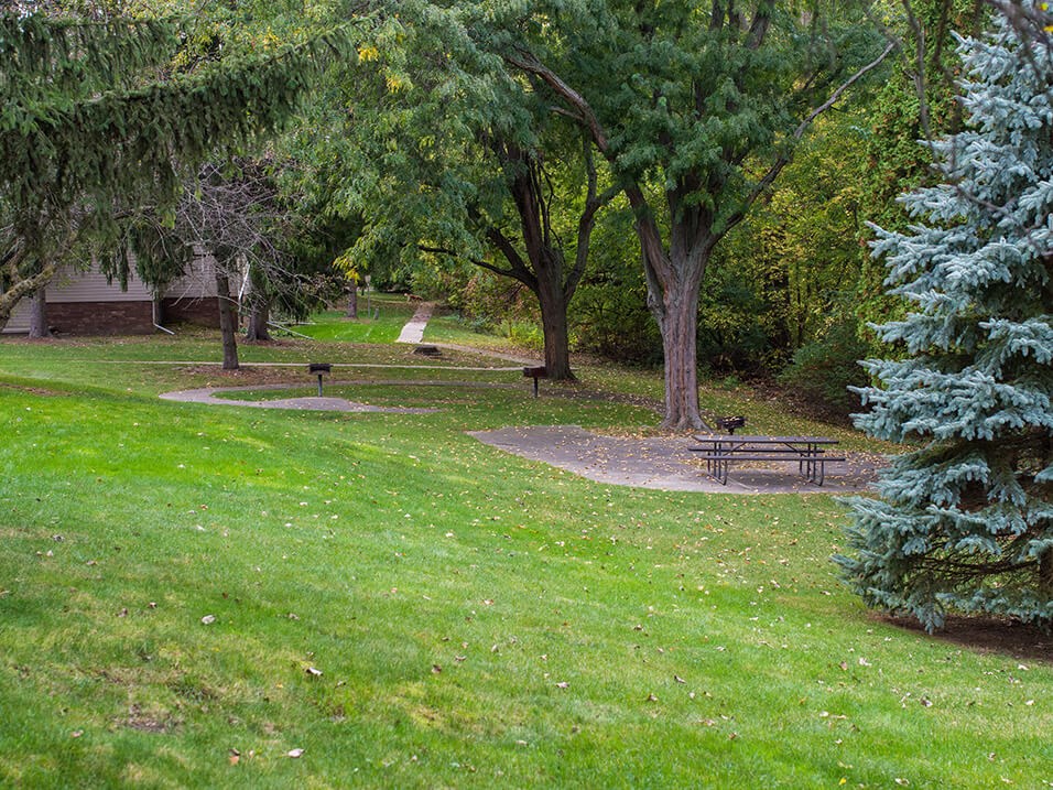 a park with a picnic table and trees