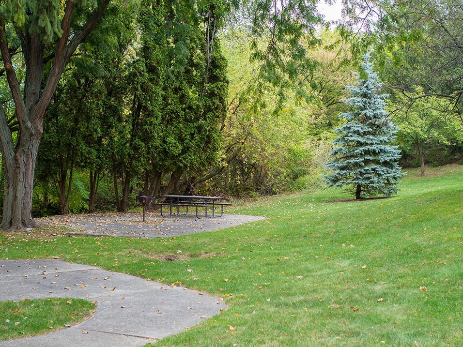 a picnic area in a park with a bench