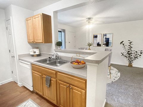 a kitchen with a counter top and a sink