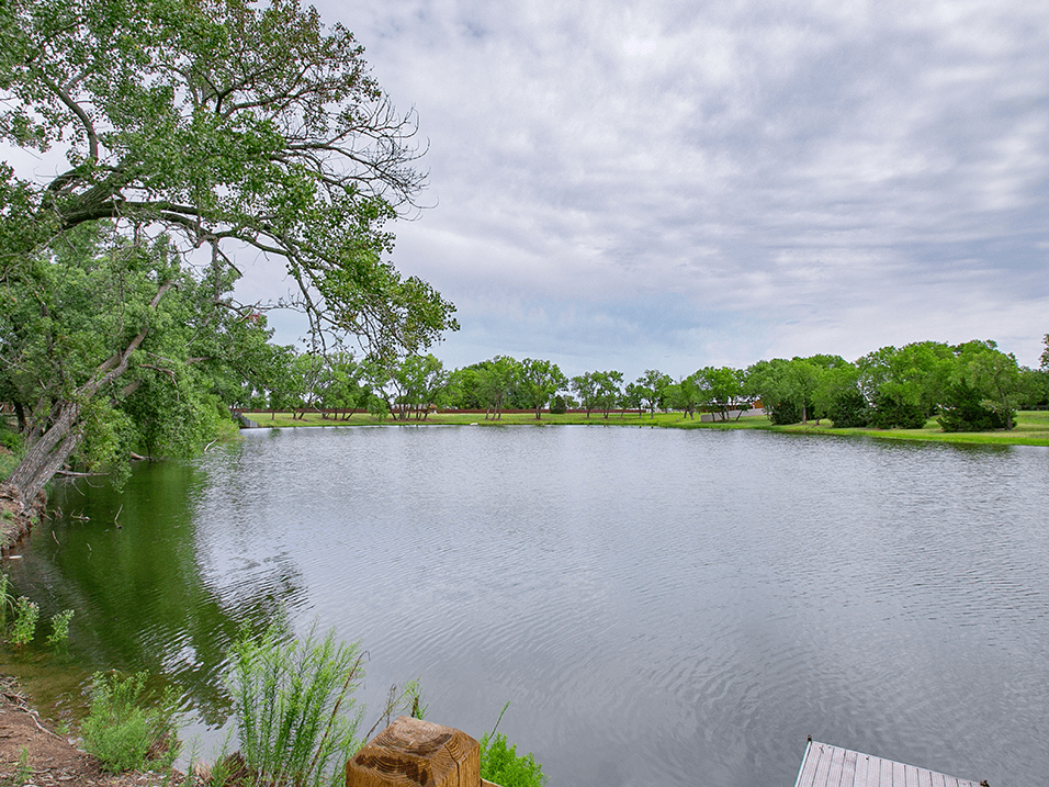 Beautiful View of pond