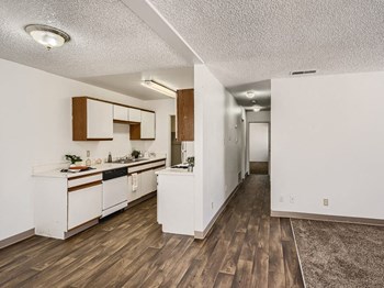 Connected kitchen, dining and living area