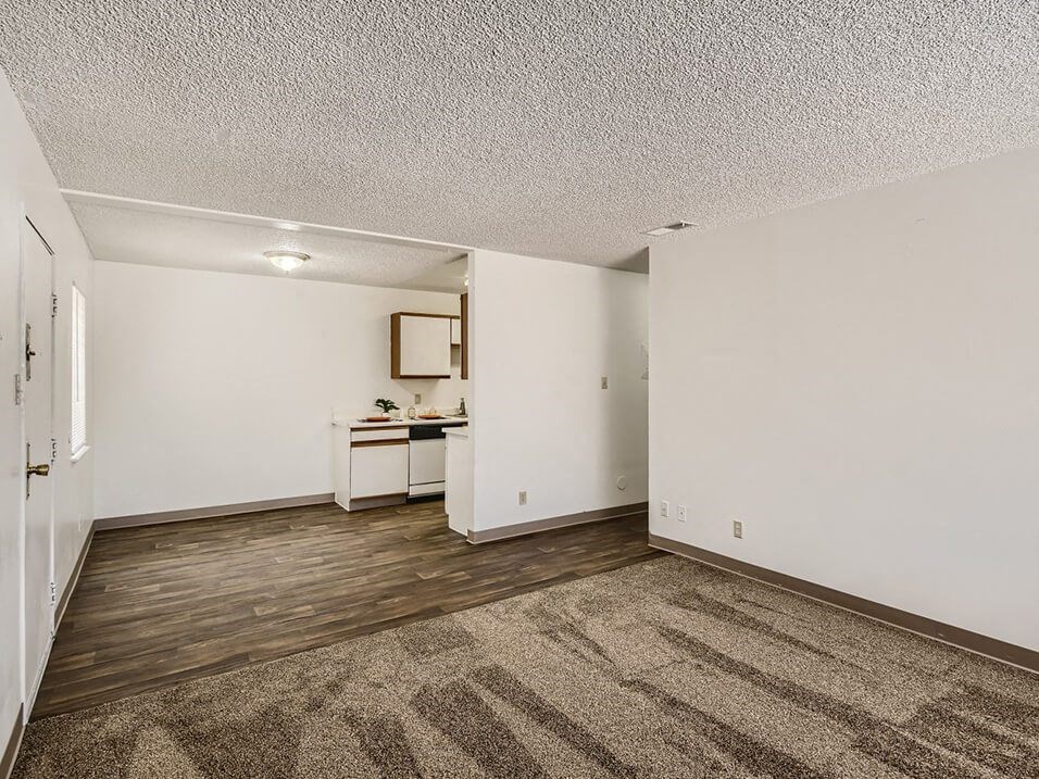 open living and dining area with connected kitchen