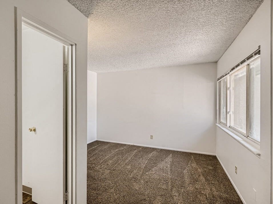 natural light in apartment at mesa gardens